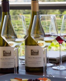 Stellenbosch Wine Tasting
